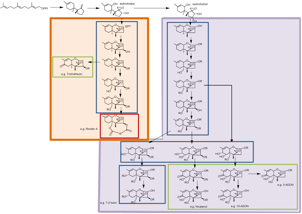 Toxins 03 00802 g003 1024
