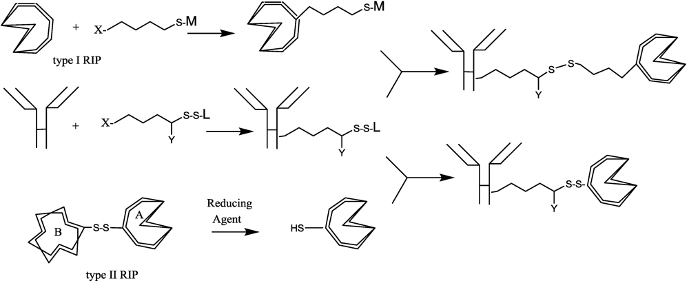 Toxins 03 00848 g002 1024