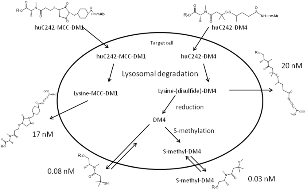Toxins 03 00848 g010 1024