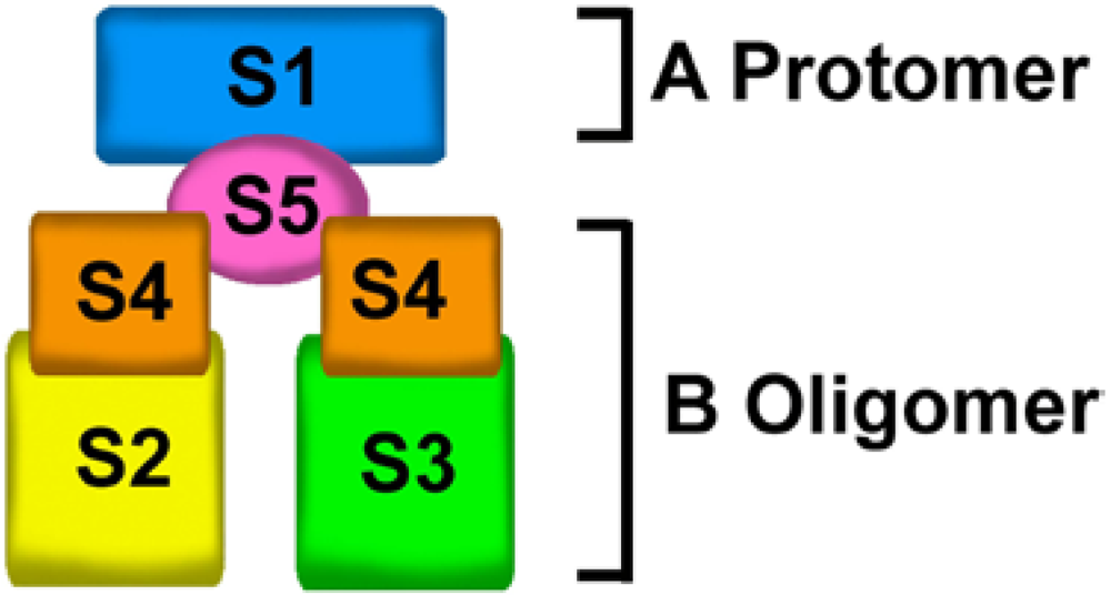 Toxins 03 00884 g001