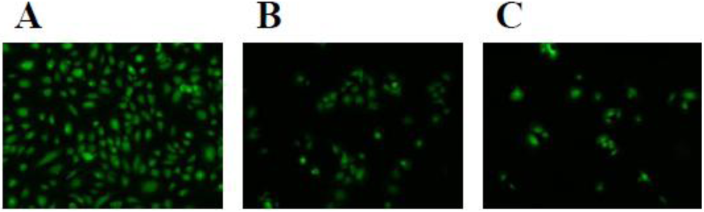 Toxins 03 00900 g005 1024