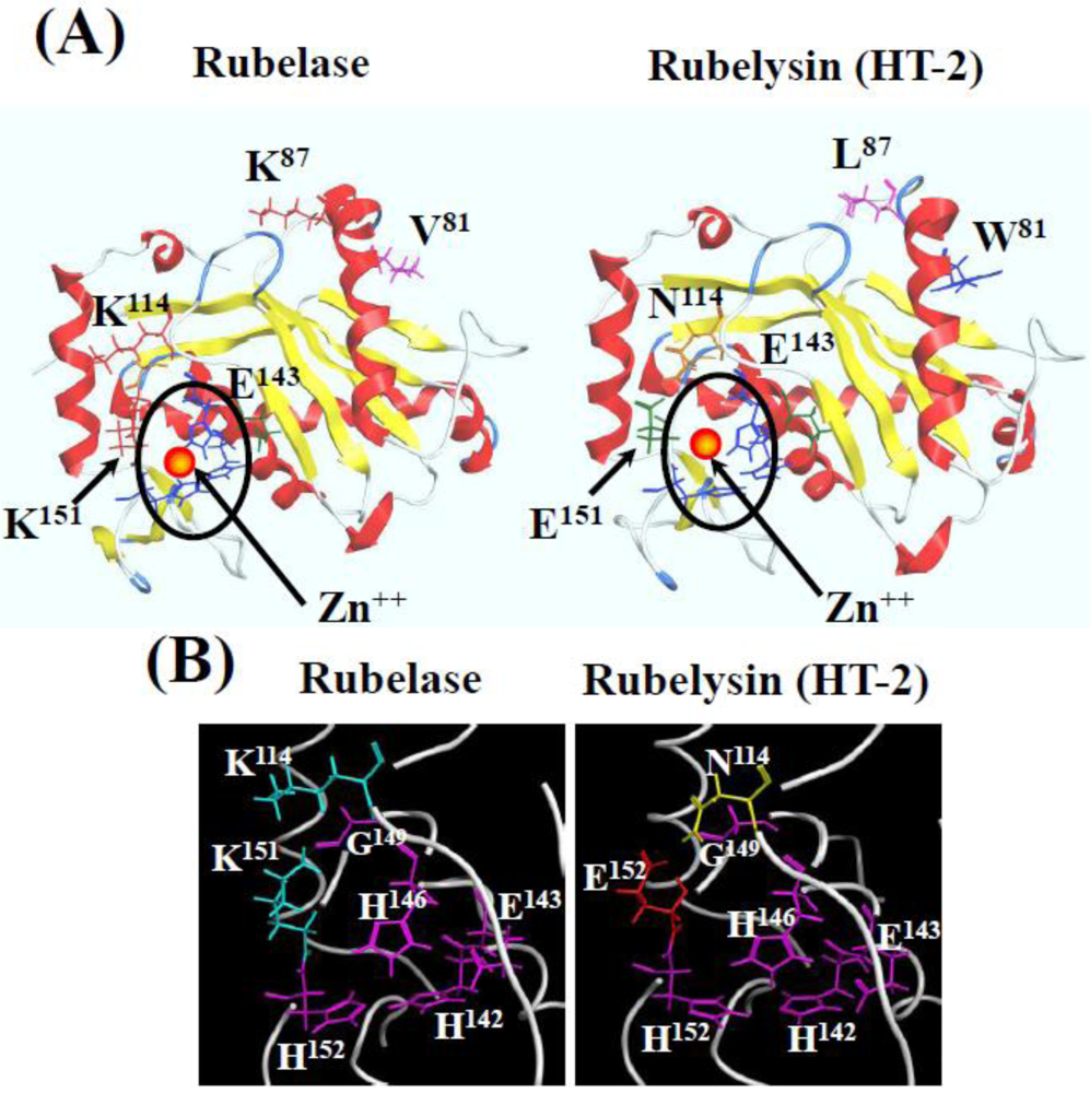 Toxins 03 00900 g006 1024