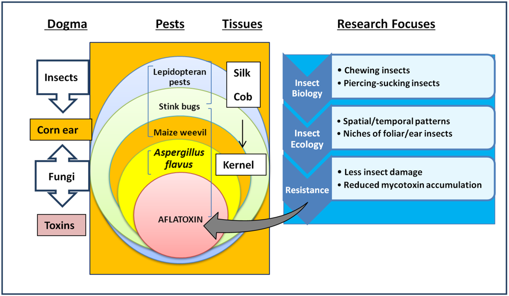 Toxins 03 00920 g001 1024