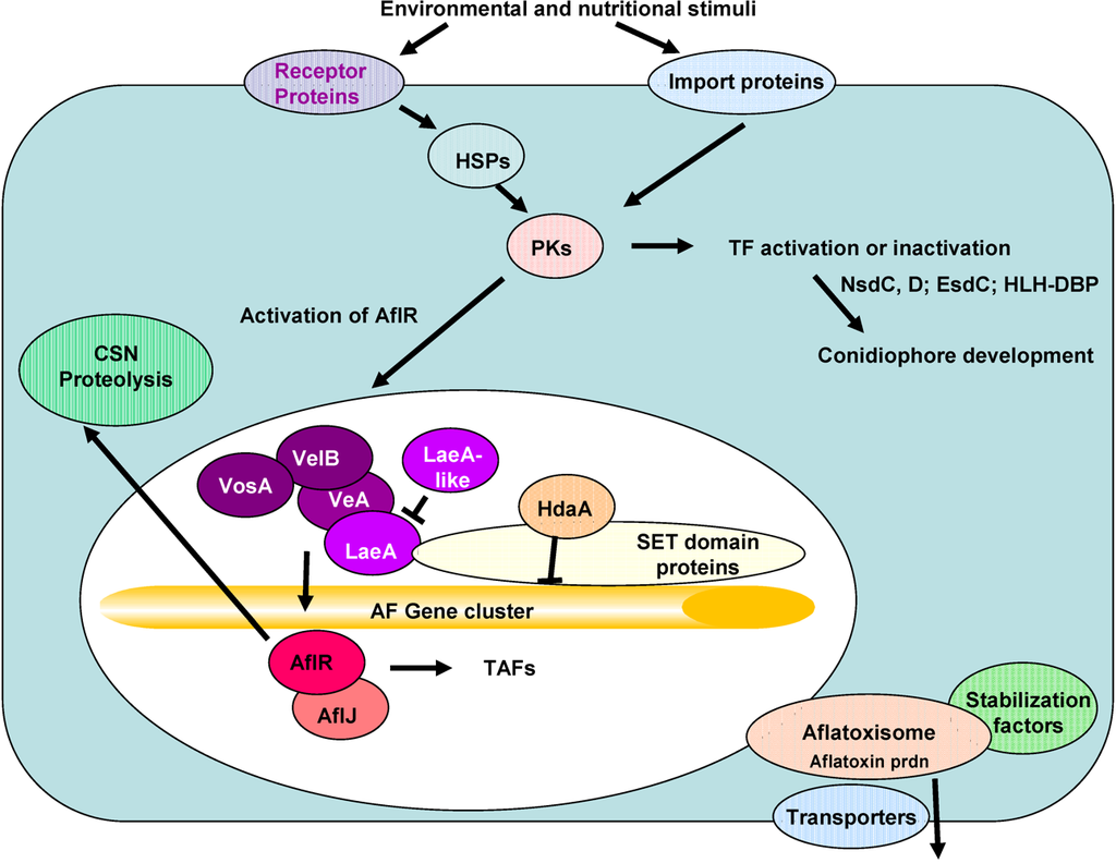 Toxins 03 00932 g002 1024