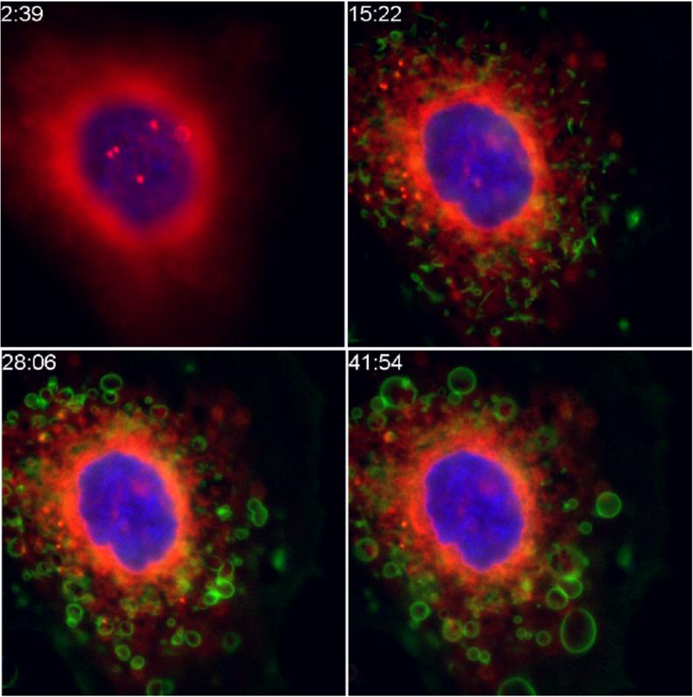 Toxins 03 01163 g001 1024