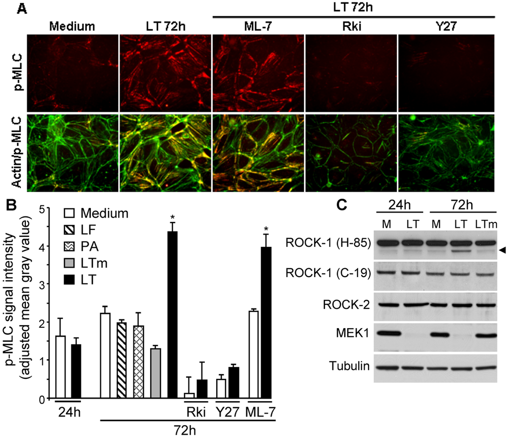 Toxins 03 01278 g002 1024