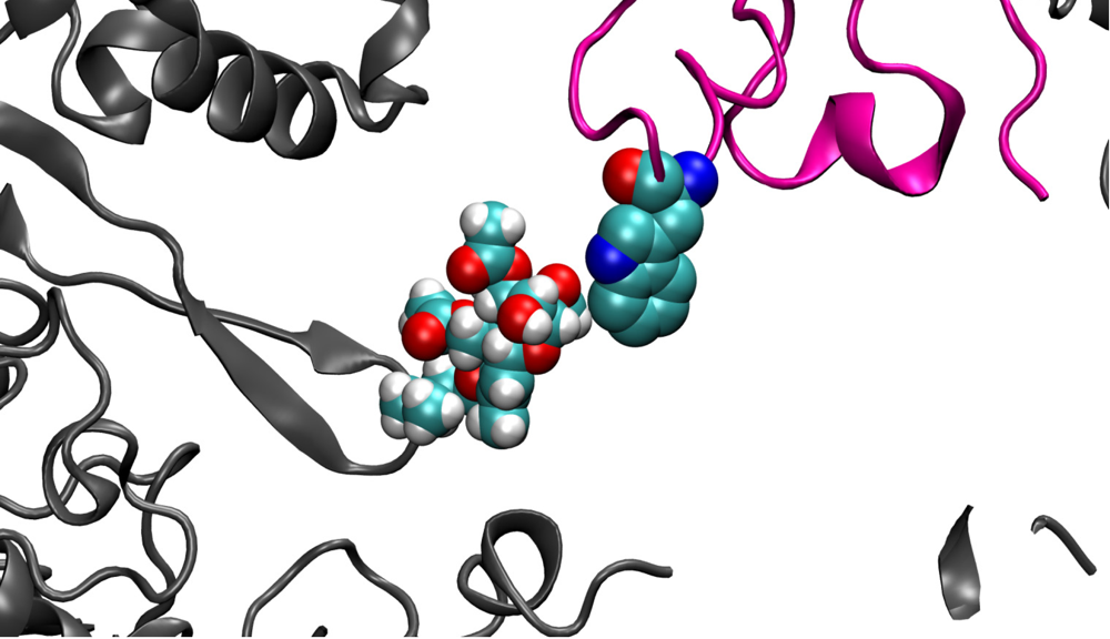 Toxins 03 01310 g011 1024