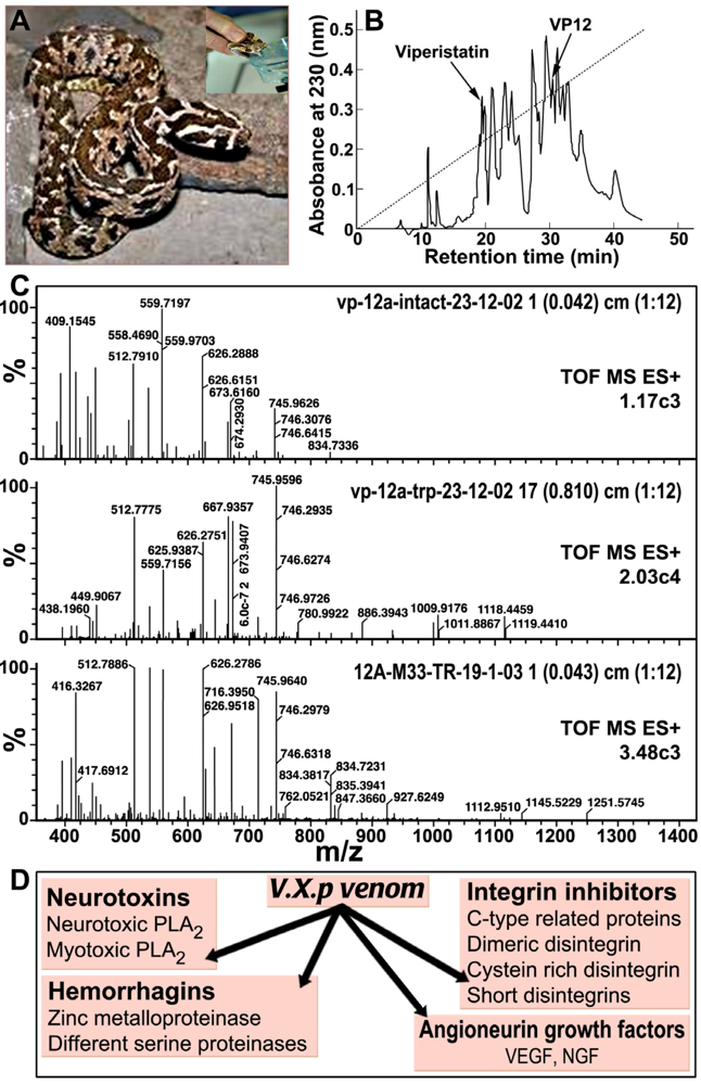 Toxins 03 01420 g001 1024