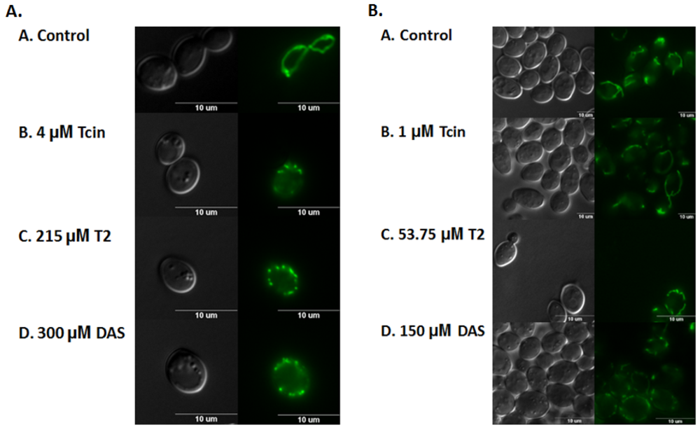 Toxins 03 01484 g003
