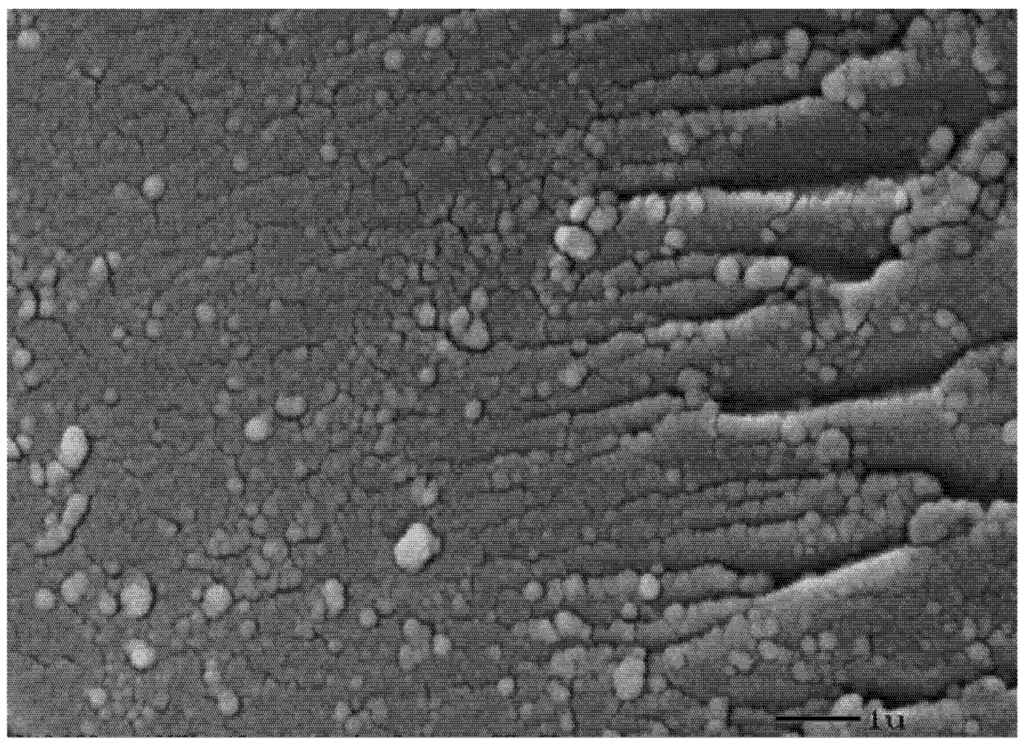 Toxins 04 00098 g002 1024