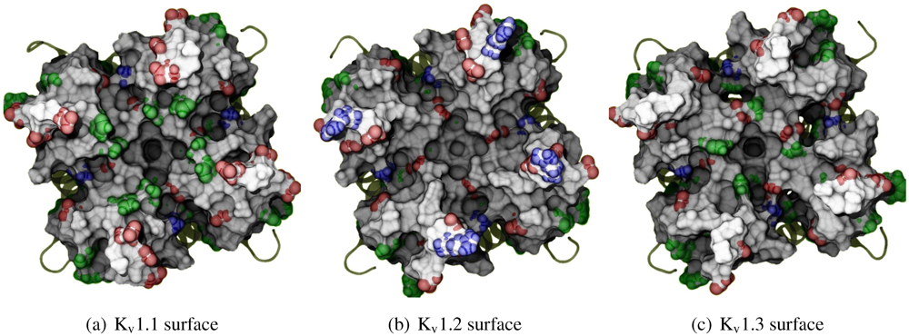 Toxins 04 00110 g001 1024