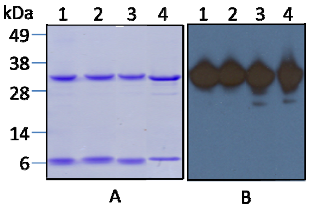 Toxins 04 00487 g001 1024