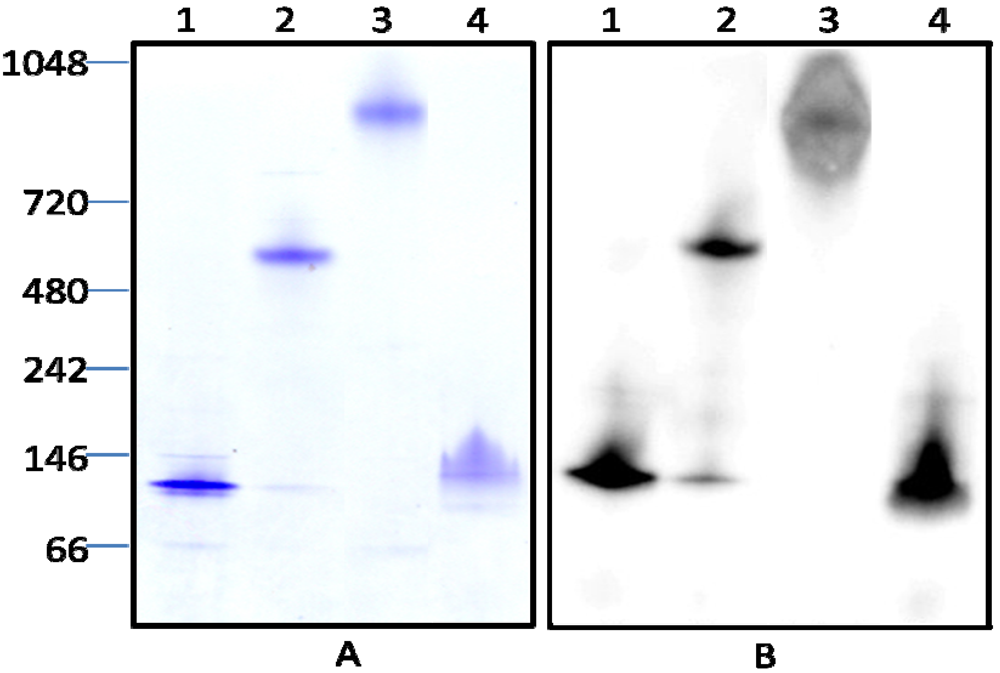 Toxins 04 00487 g002