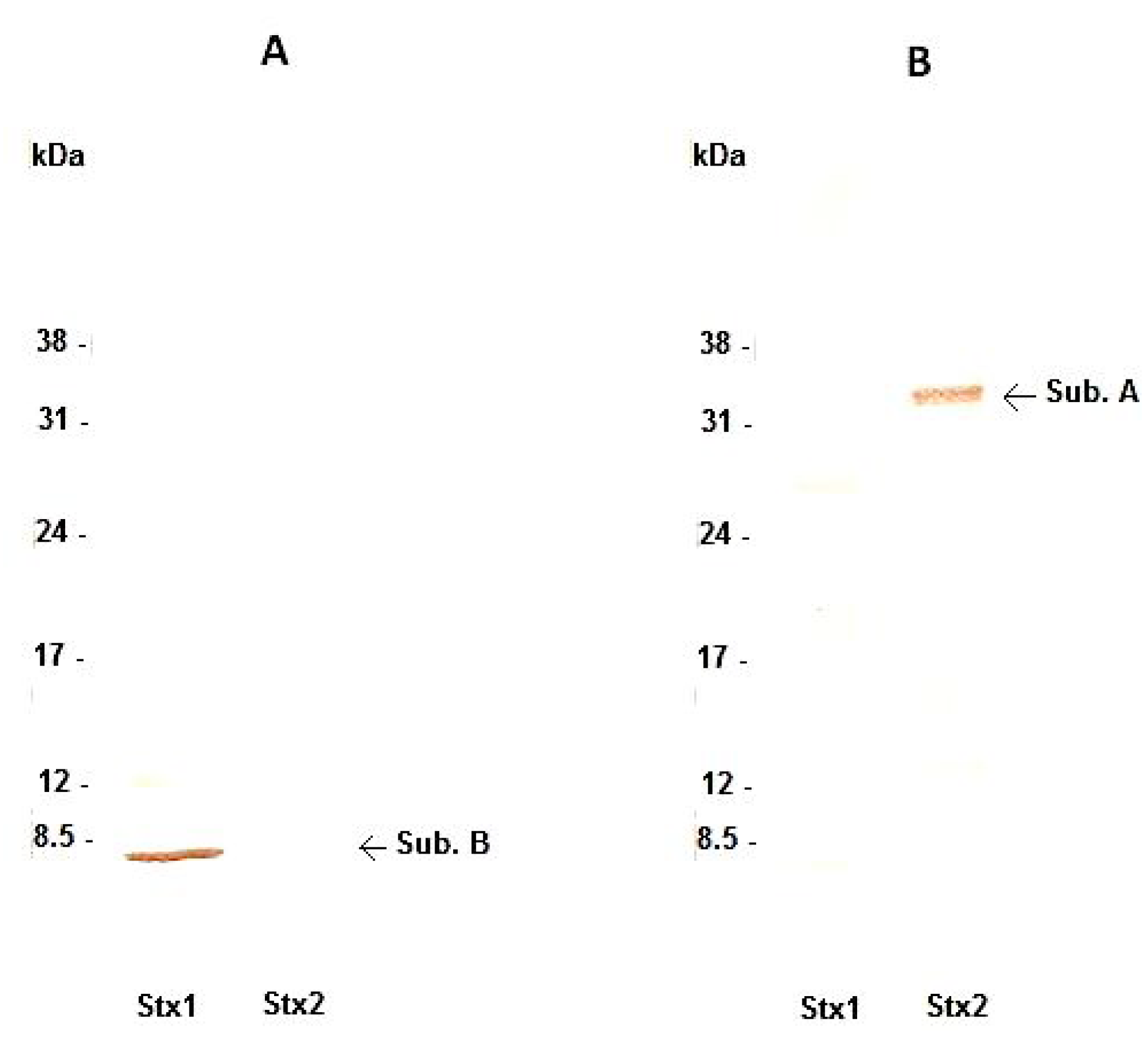 Toxins 04 00729 g001