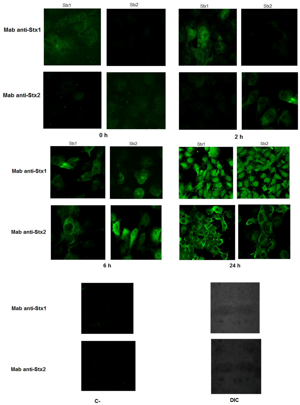 Toxins 04 00729 g003 1024