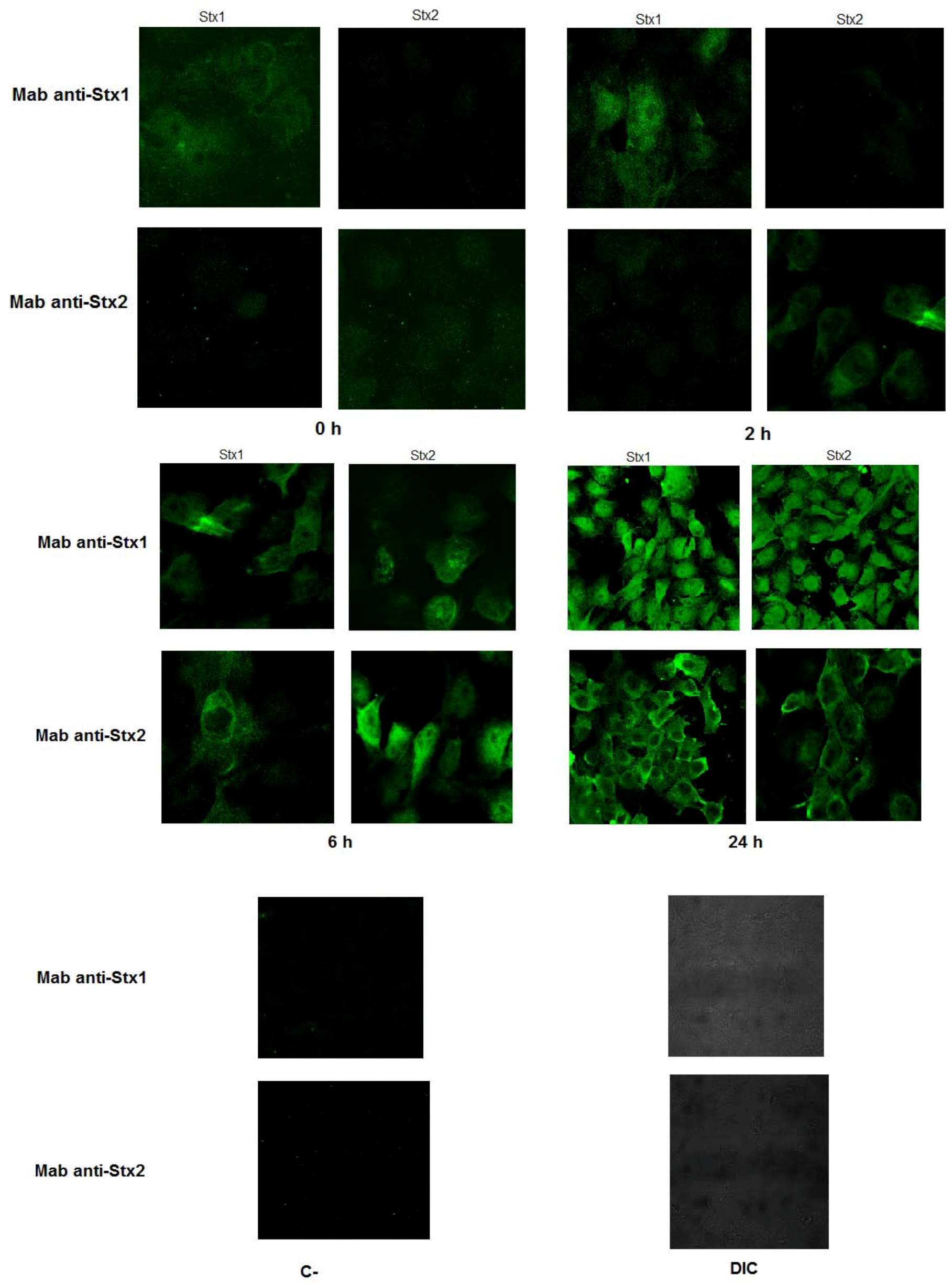 Toxins 04 00729 g003