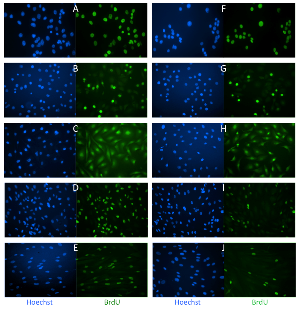 Toxins 04 00940 g001 1024