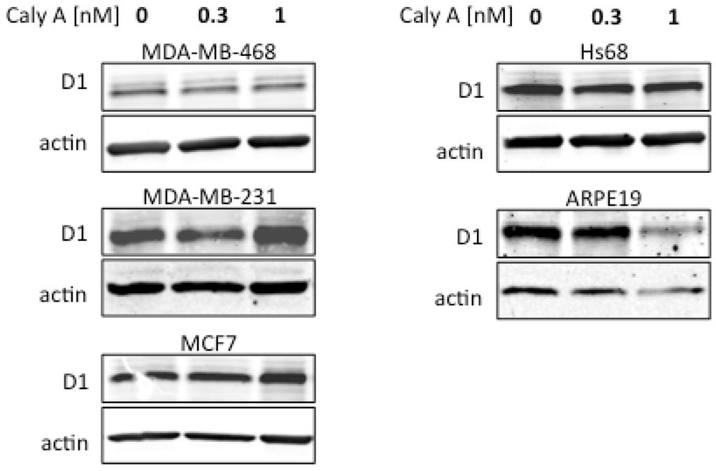 Toxins 04 00940 g004 1024
