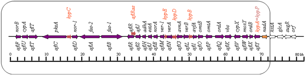 Toxins 04 01024 g001 1024