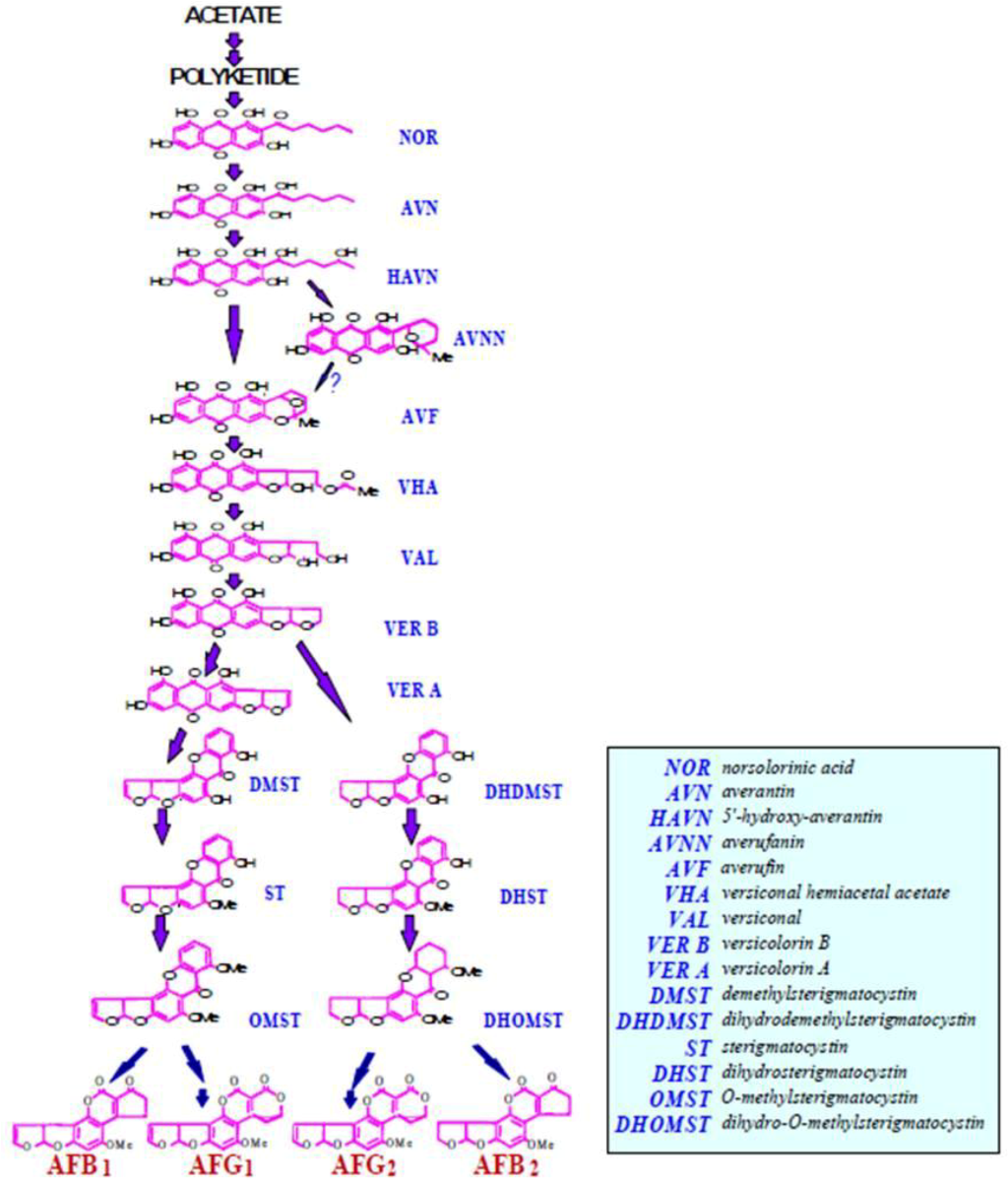 Toxins 04 01024 g002