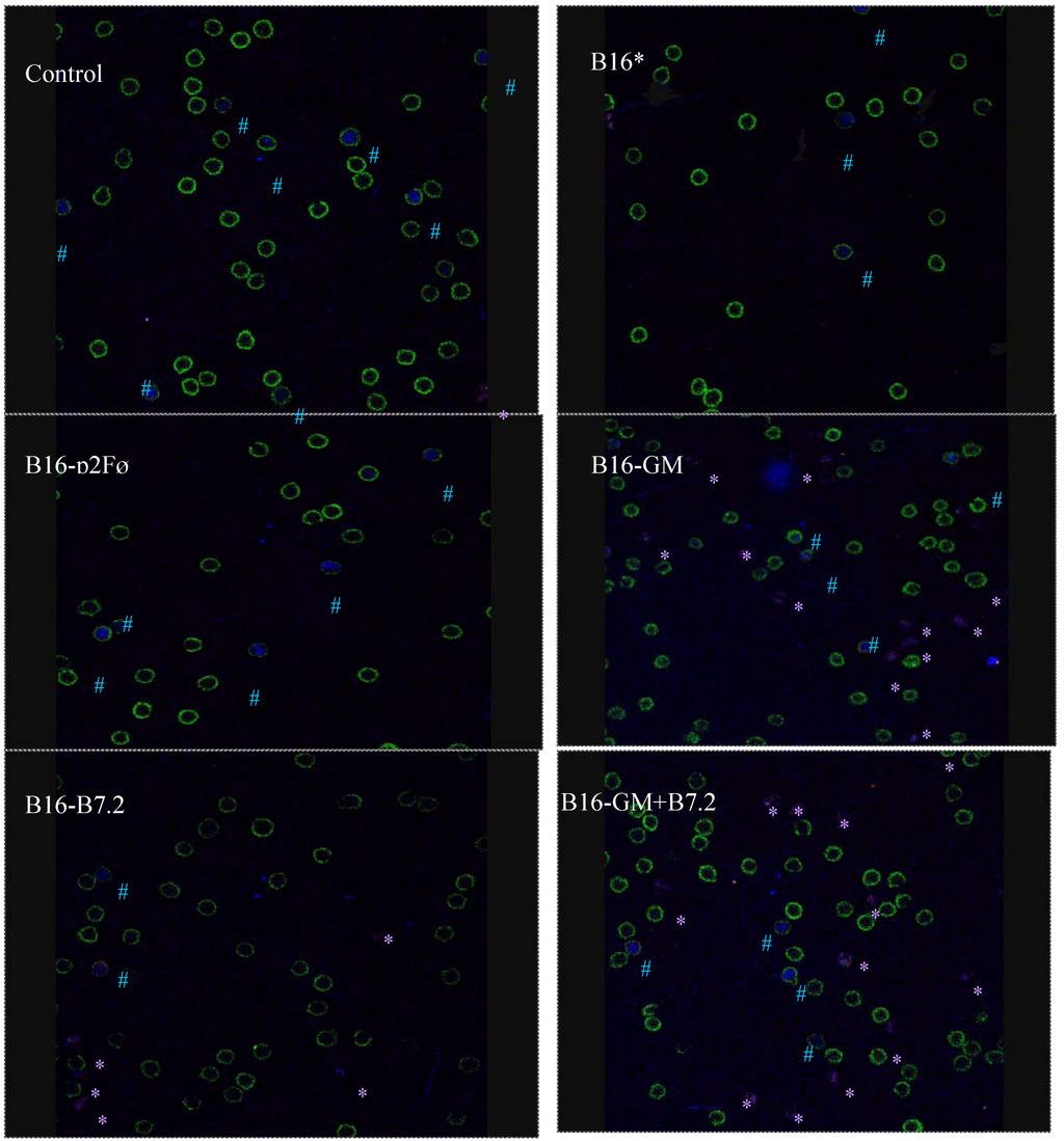 Toxins 04 01058 g010 1024