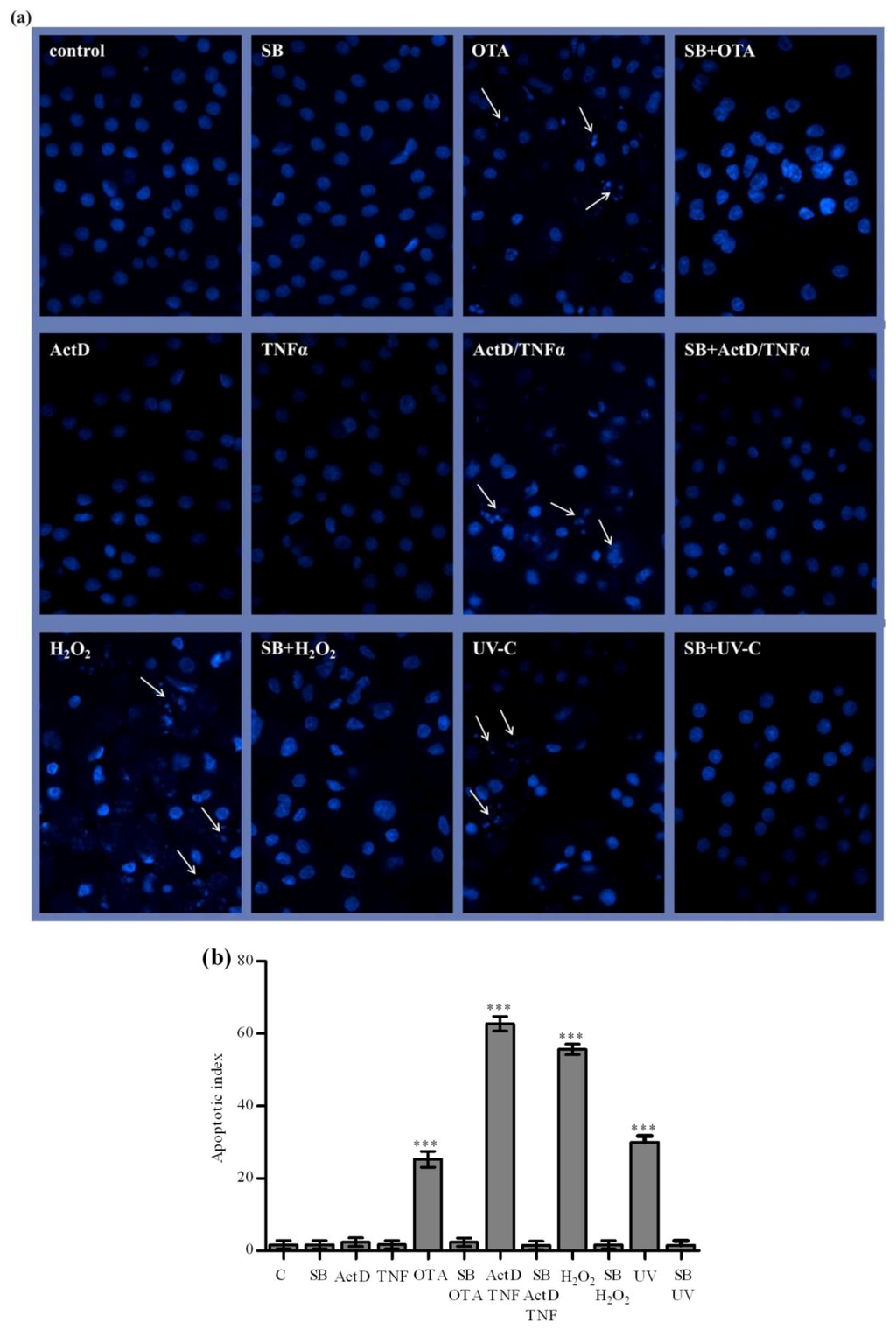 Toxins 04 01139 g004 1024