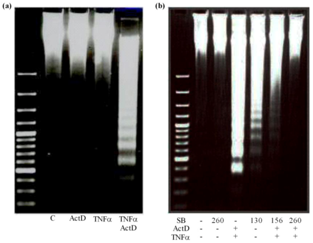 Toxins 04 01139 g005 1024
