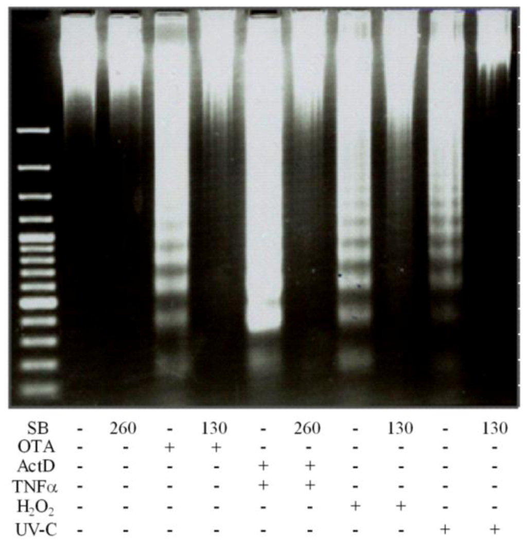 Toxins 04 01139 g006 1024
