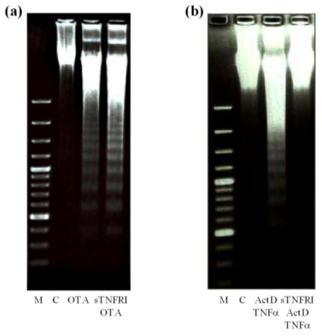 Toxins 04 01139 g007 1024