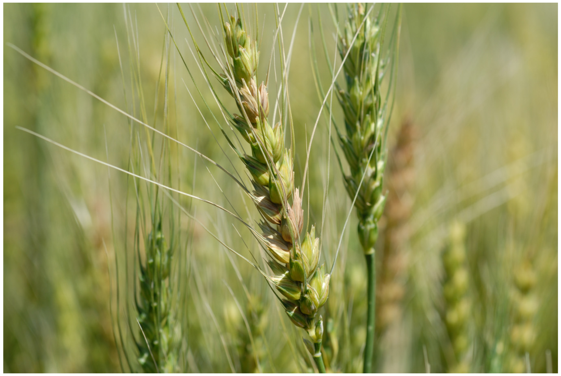 Toxins 04 01157 g001