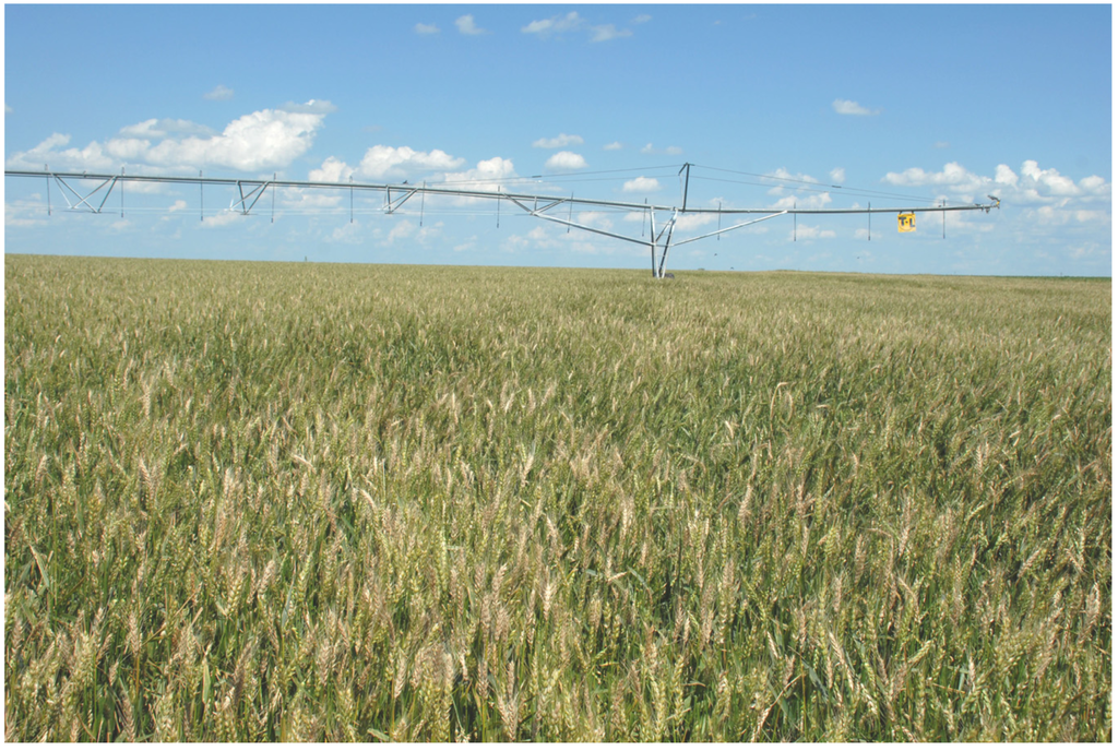 Toxins 04 01157 g002 1024