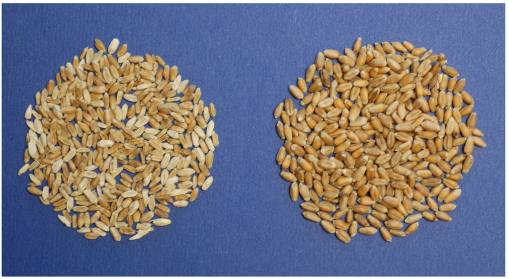 Toxins 04 01157 g003 1024