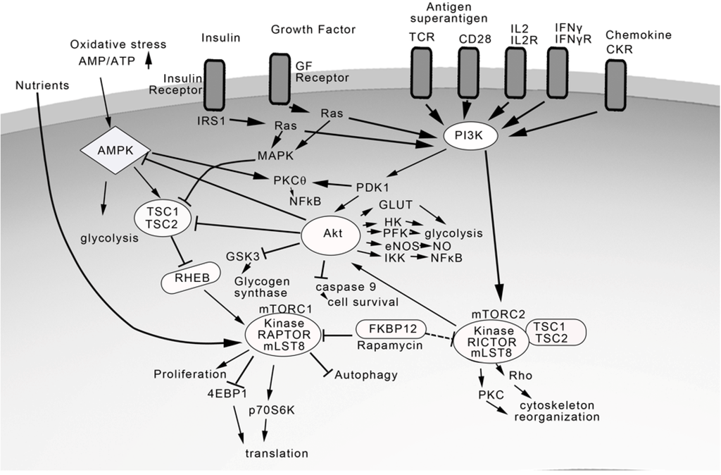 Toxins 04 01343 g002 1024