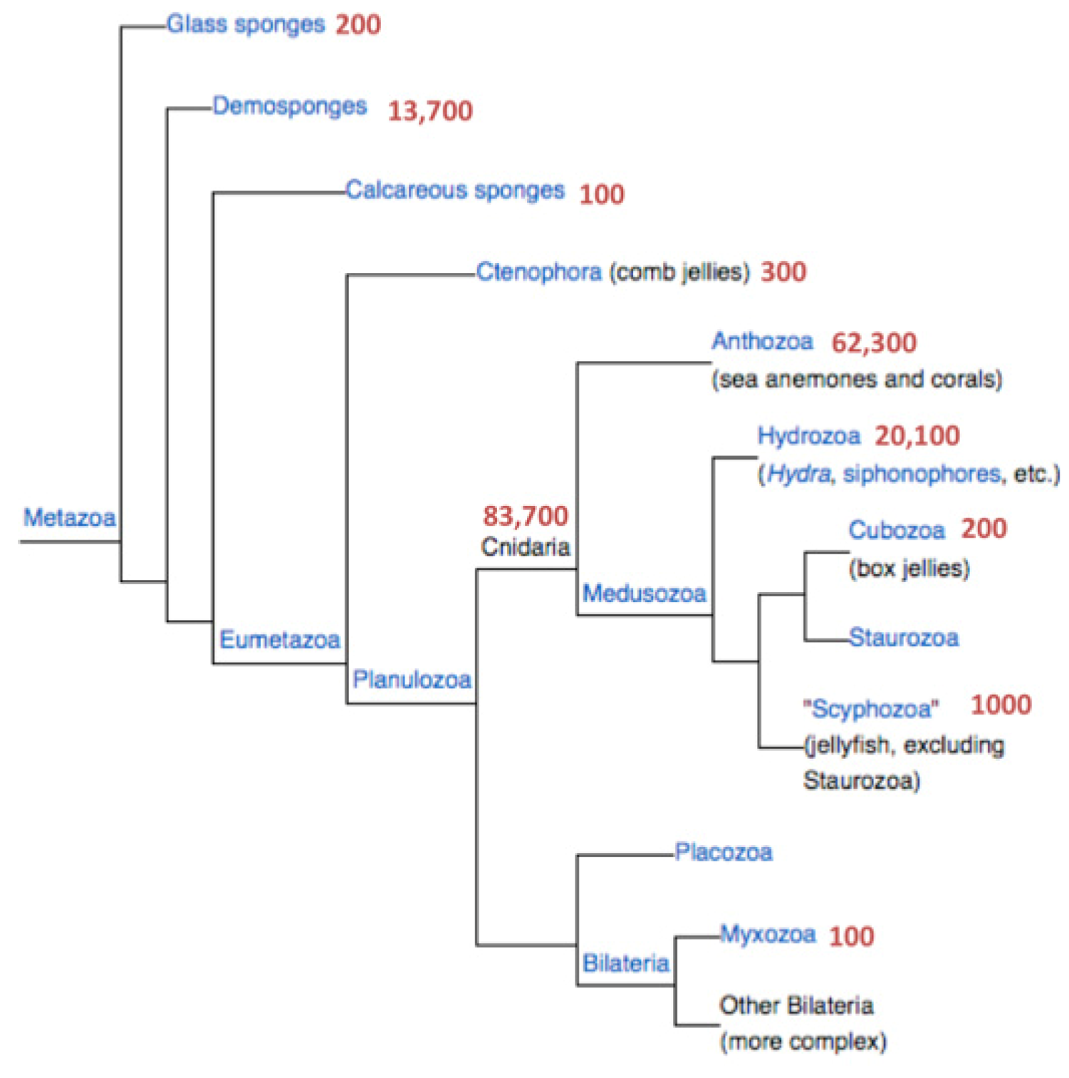 Toxins 04 01367 g001