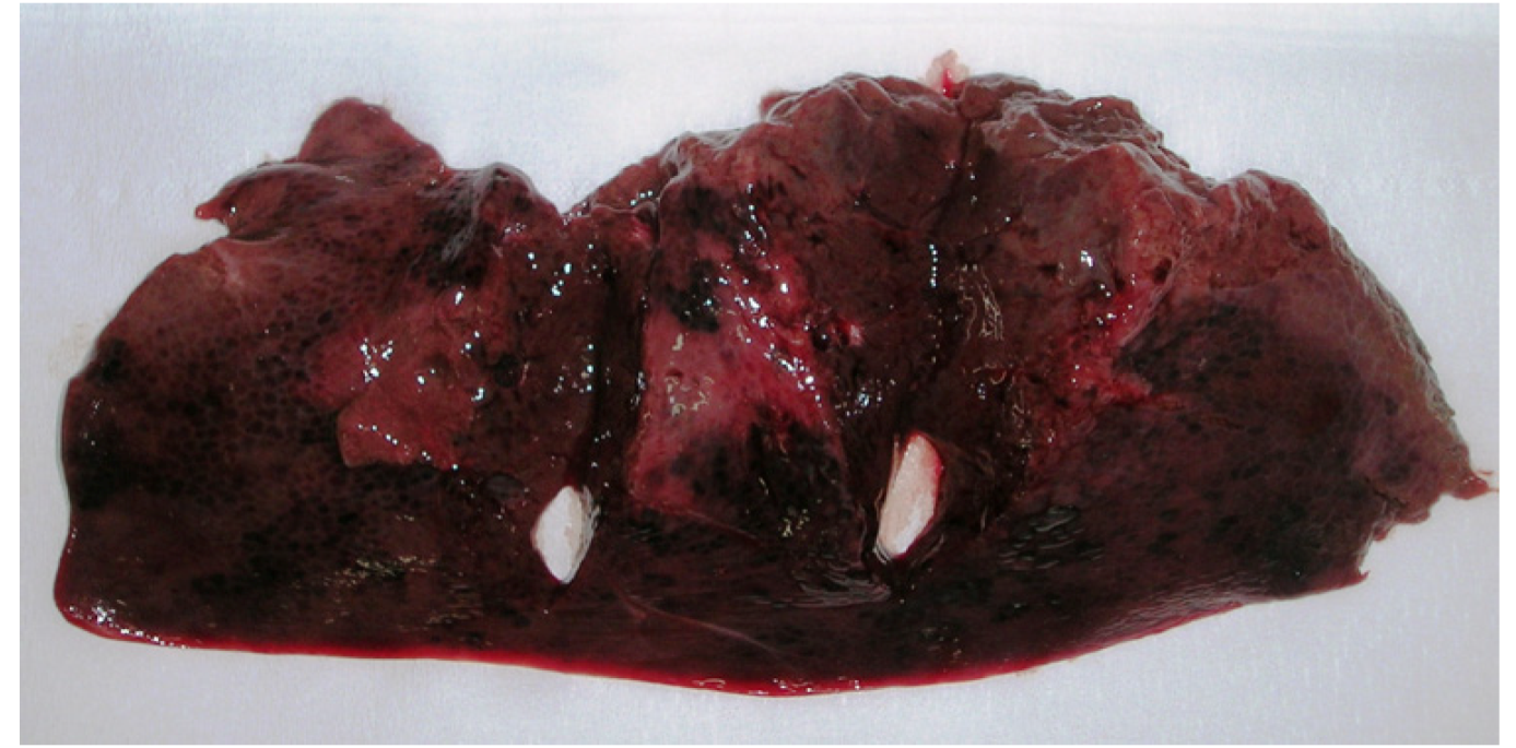 Toxins 04 01440 g004