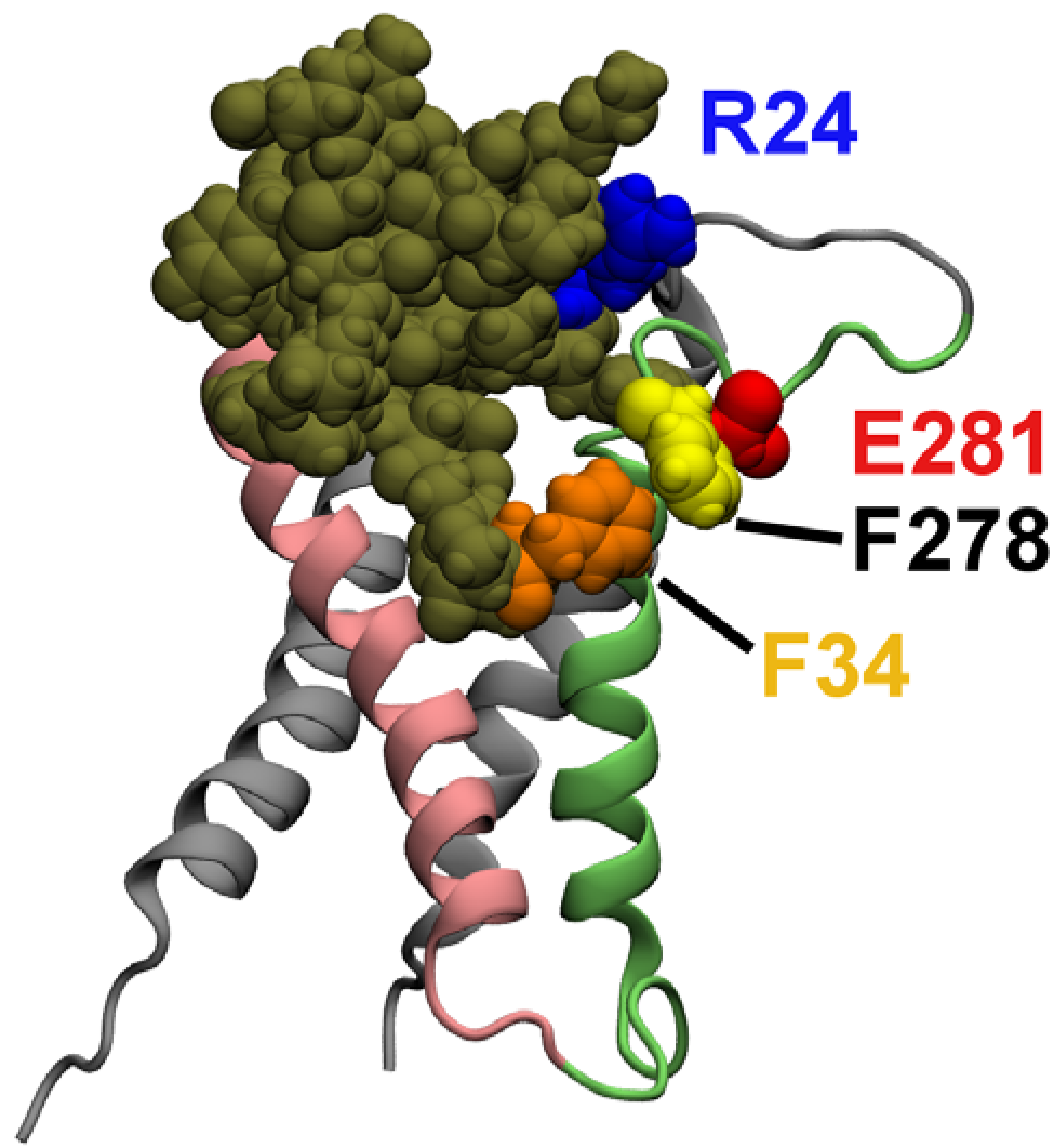 Toxins 04 01552 g004 1024