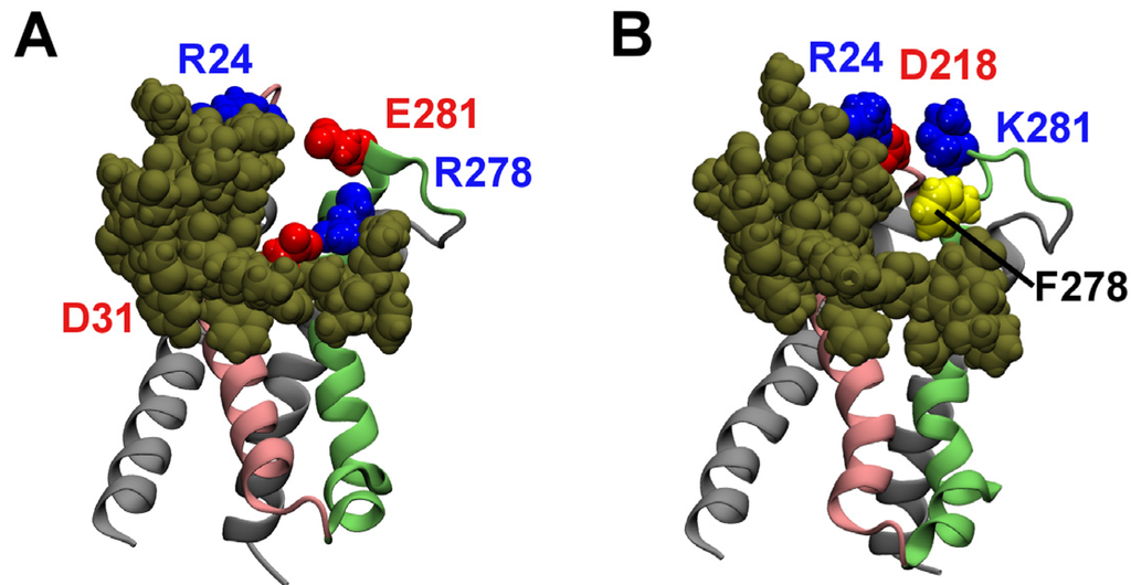 Toxins 04 01552 g005 1024