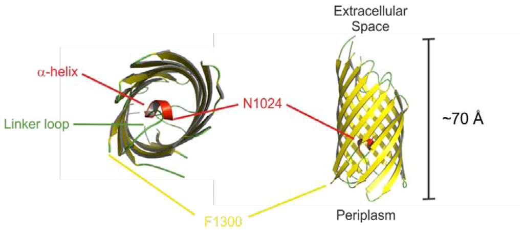 Toxins 05 00025 g002 1024