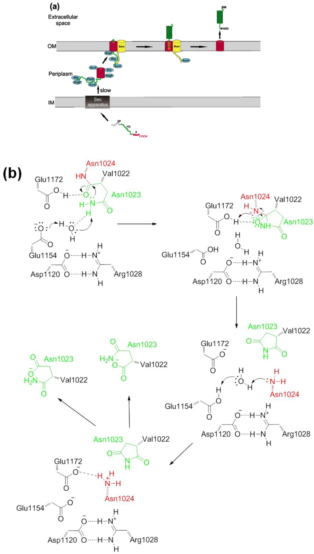 Toxins 05 00025 g003 1024