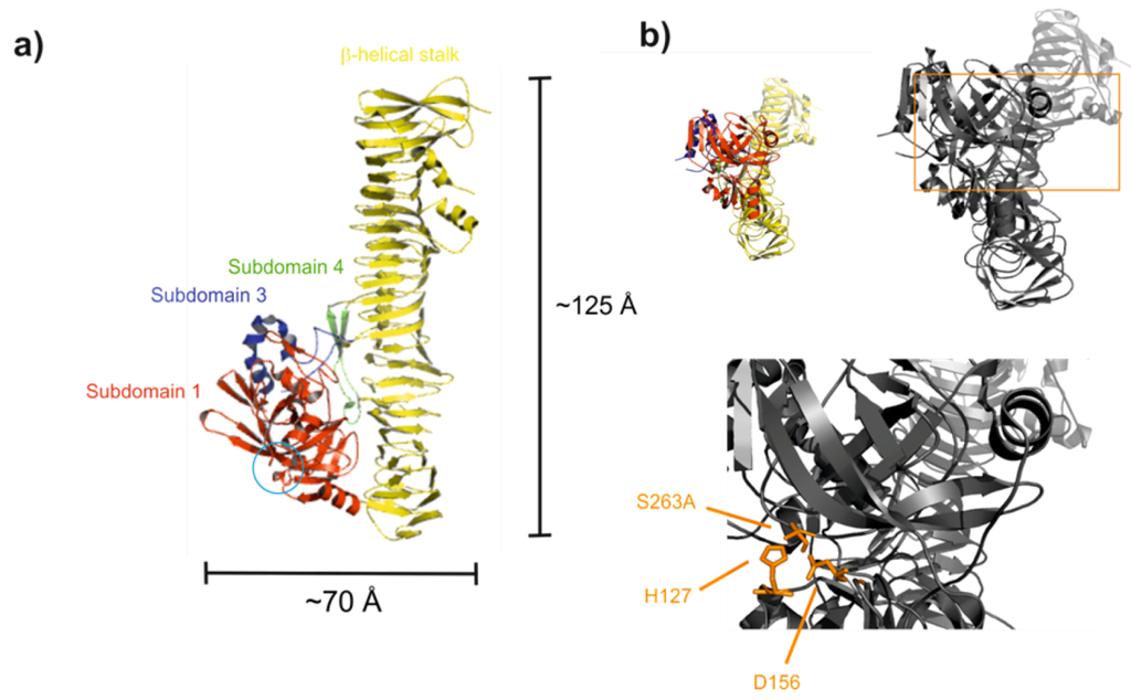 Toxins 05 00025 g004 1024