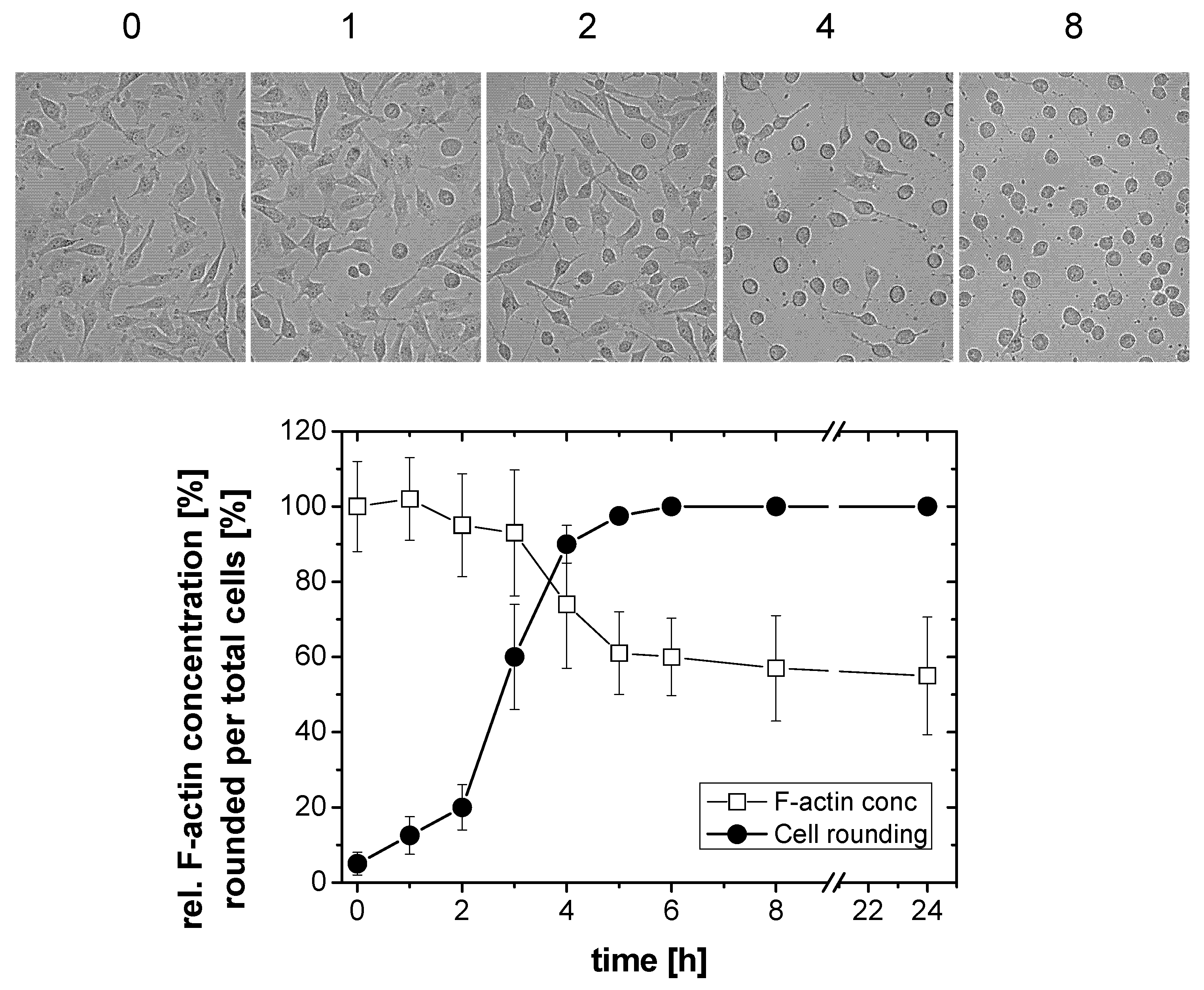 Toxins 05 00106 g002