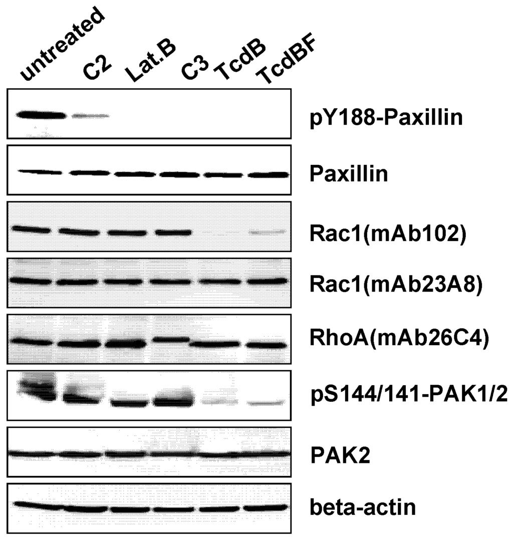 Toxins 05 00106 g008 1024