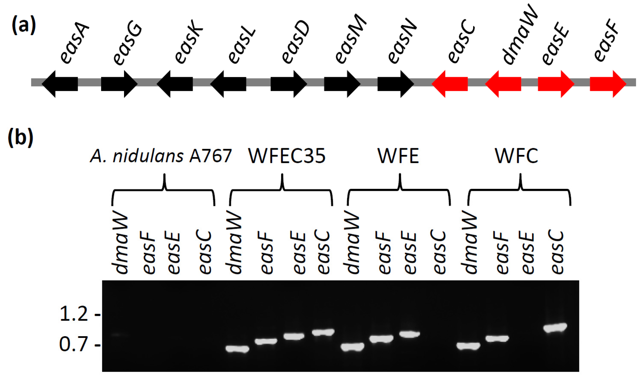 Toxins 05 00445 g002