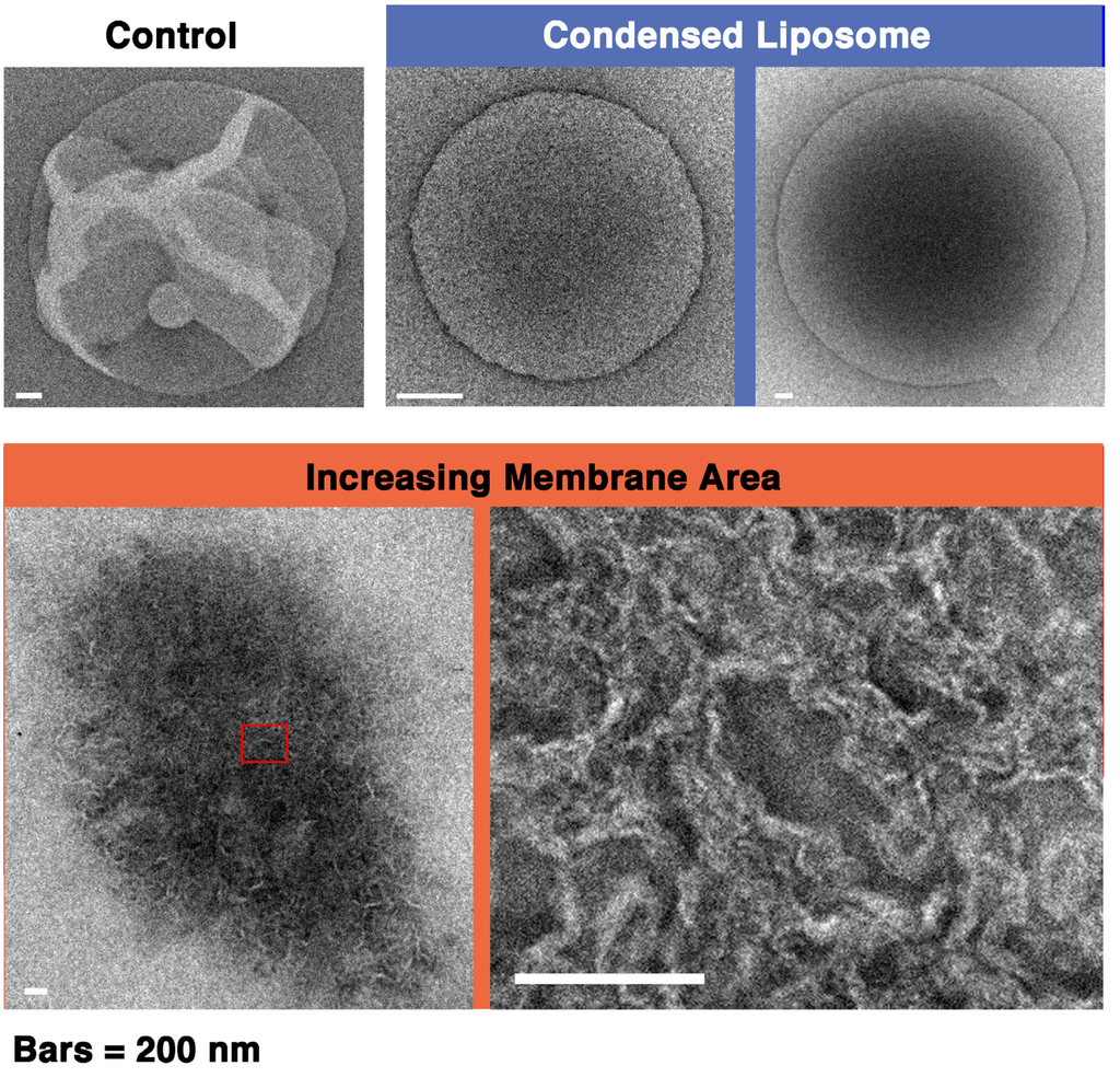 Toxins 05 00637 g012 1024