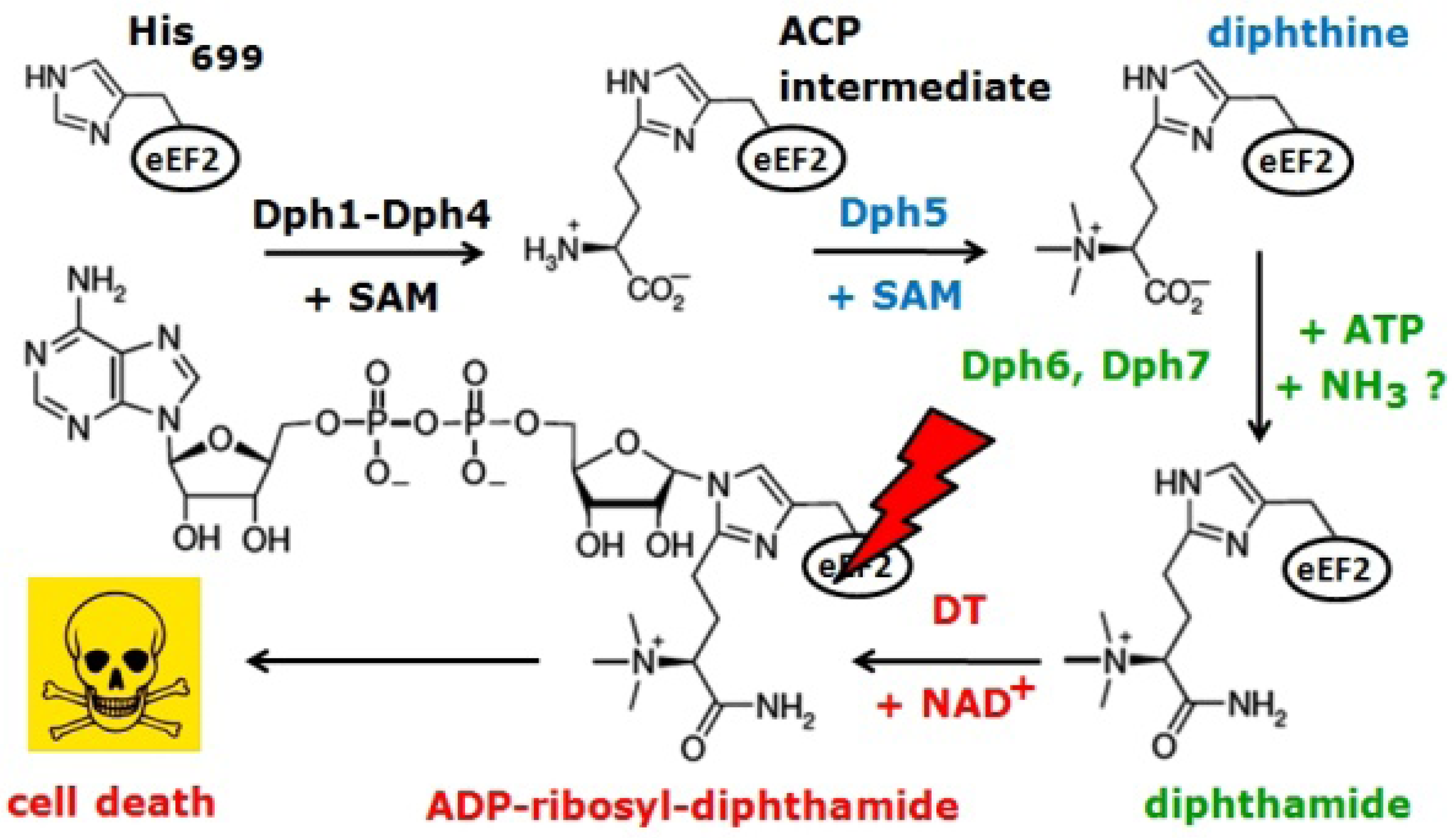 Toxins 05 00958 g001