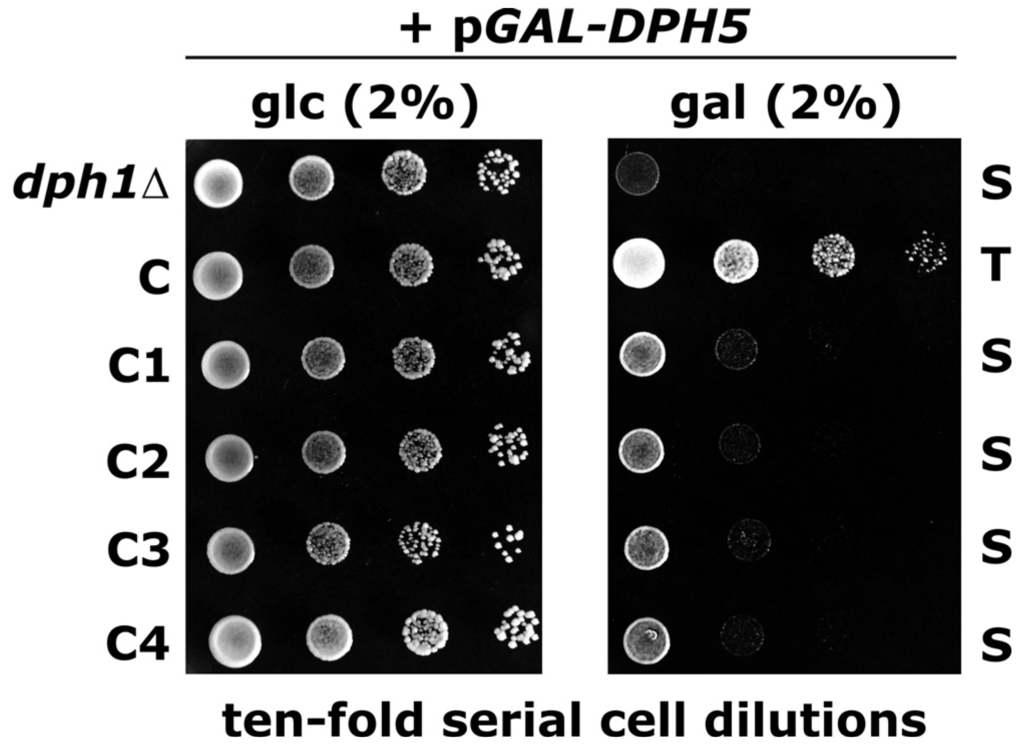 Toxins 05 00958 g004 1024
