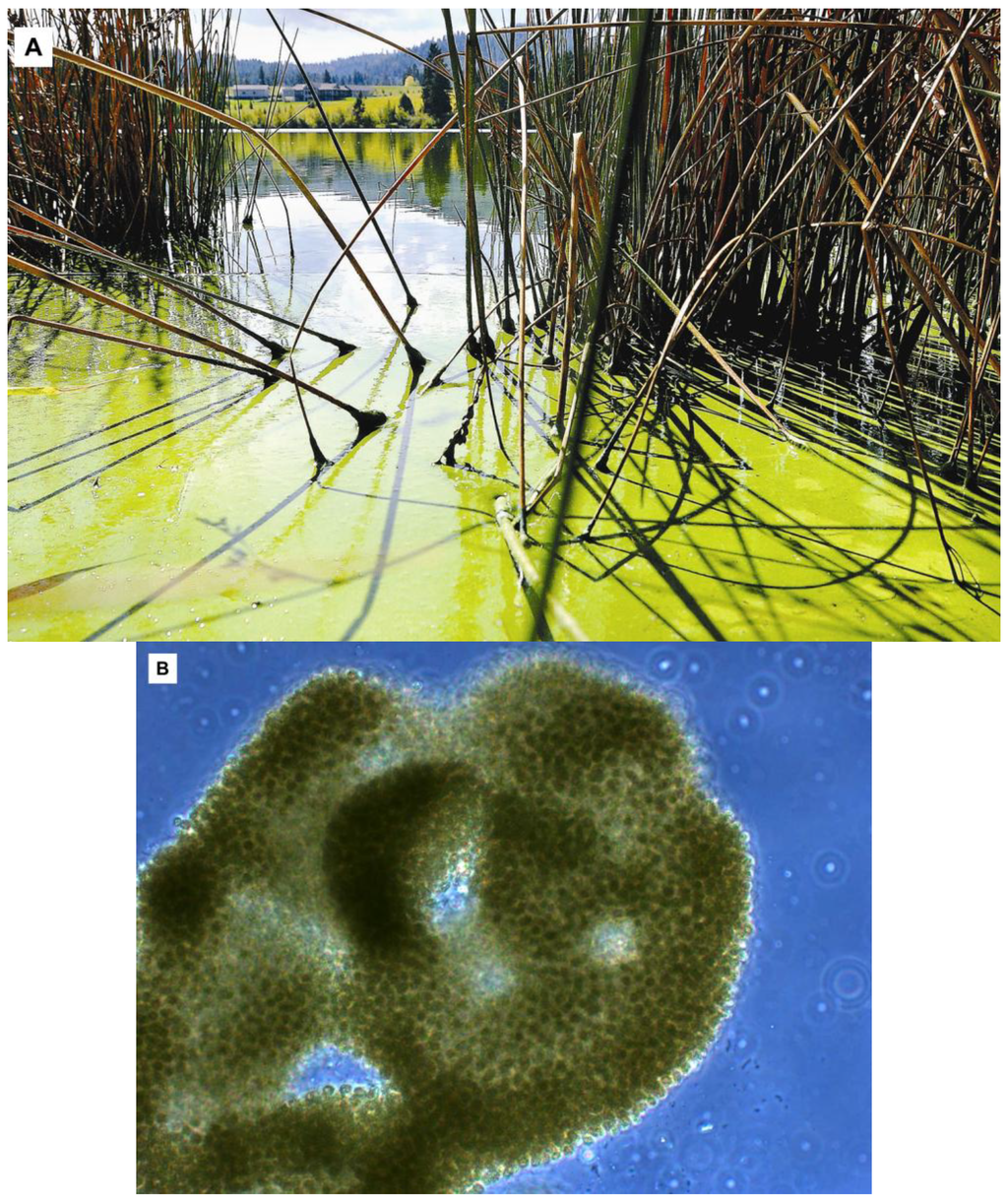 Toxins 05 01051 g001 1024