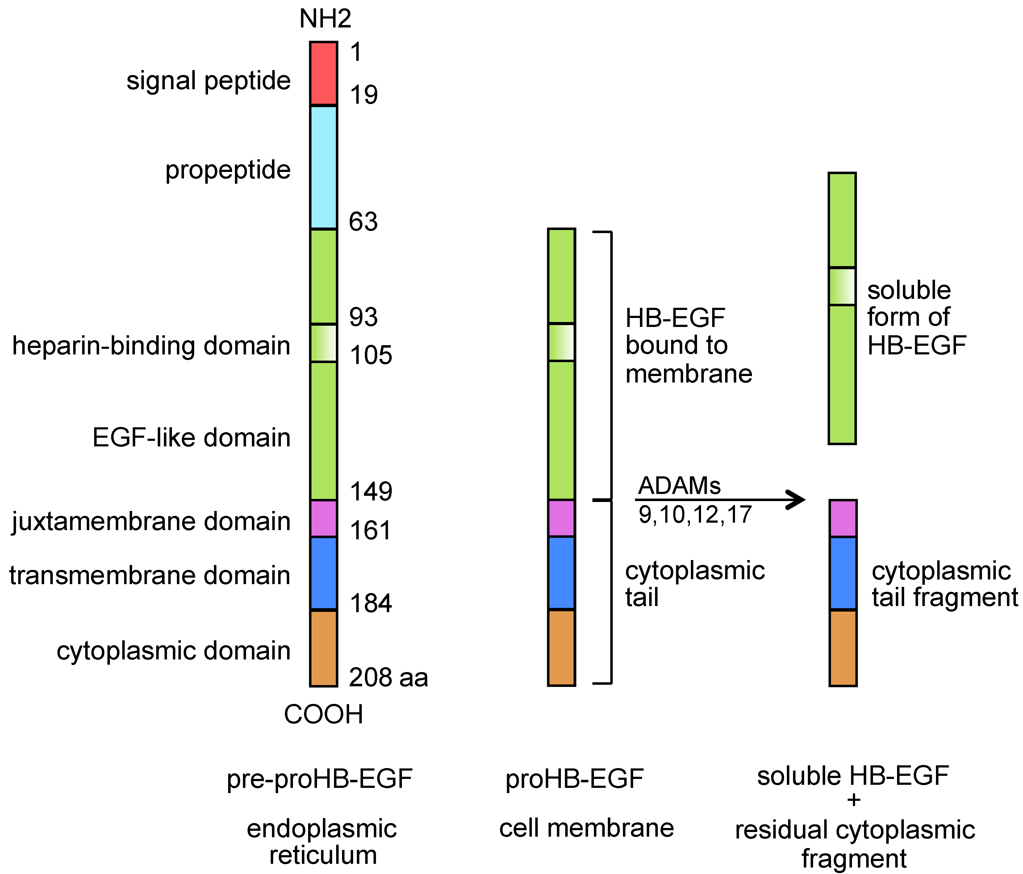 Toxins 05 01180 g001
