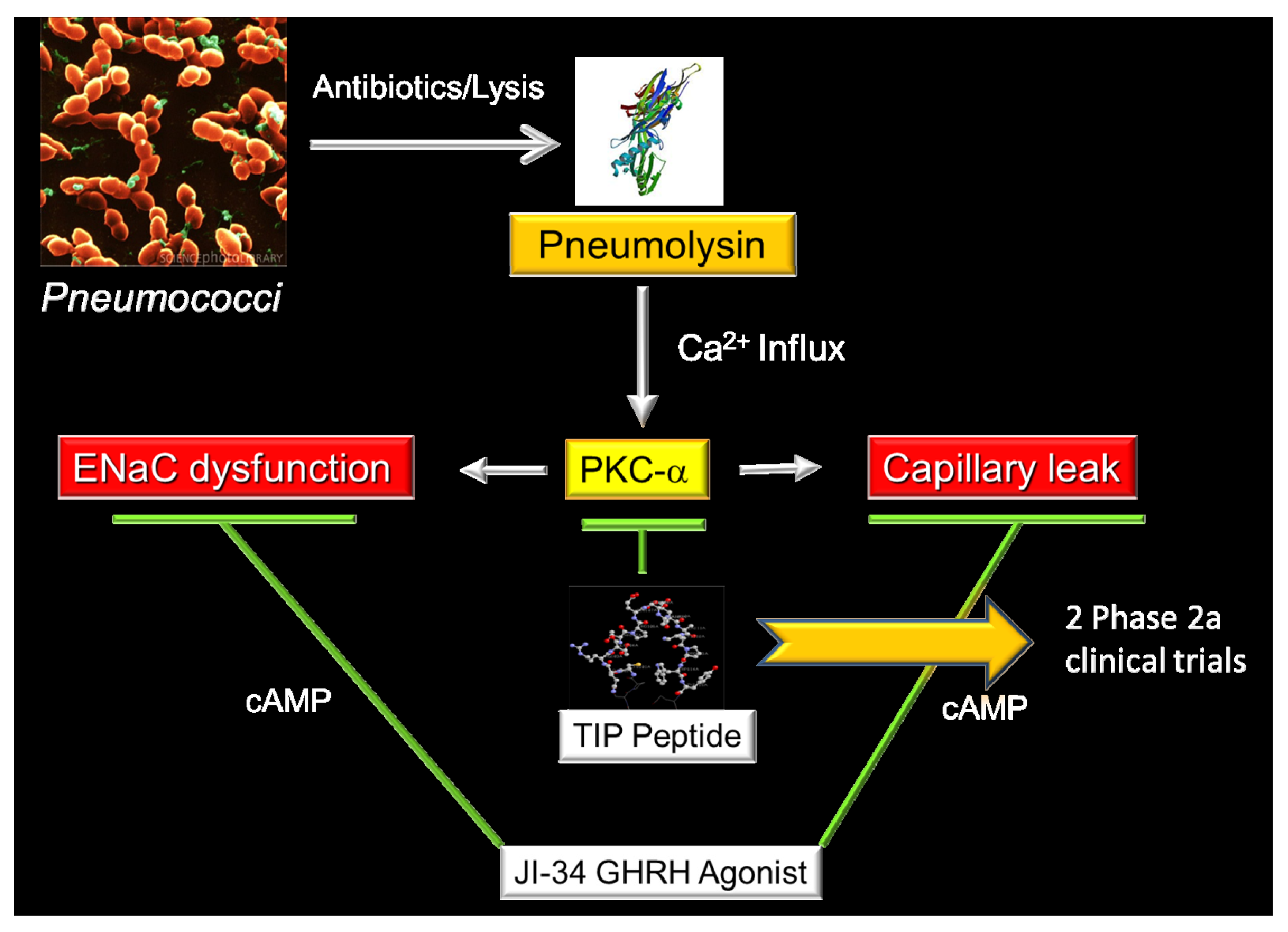Toxins 05 01244 g001
