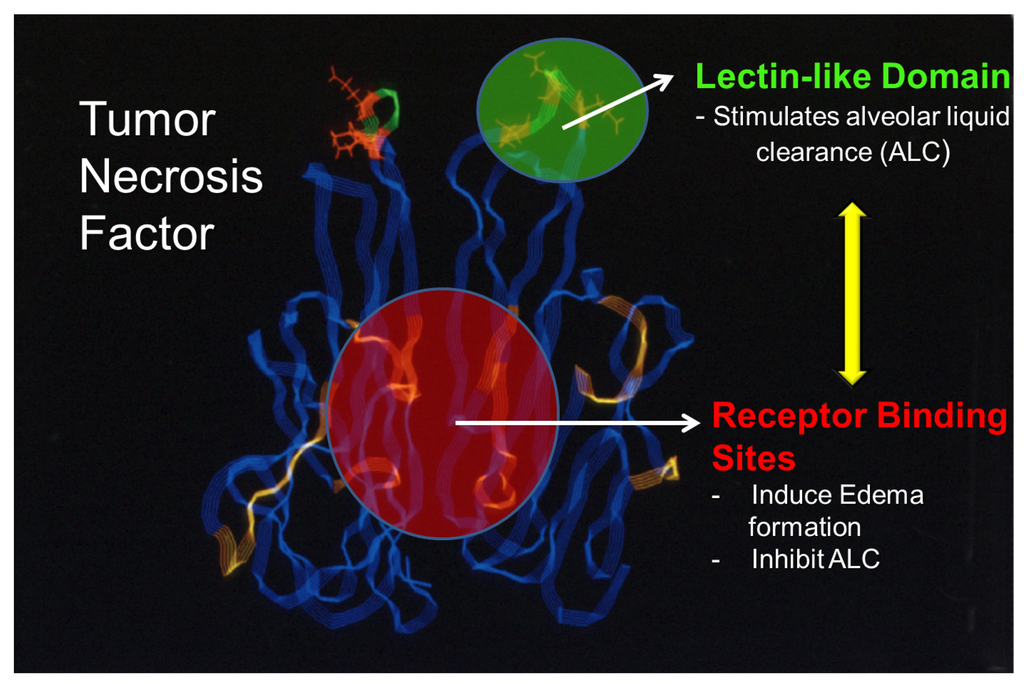 Toxins 05 01244 g002 1024